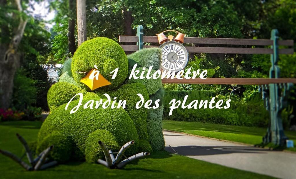 Le Nid Des Carmes Leilighet Nantes Eksteriør bilde